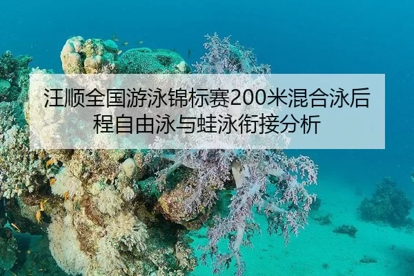 wang-shun-quan-guo-you-yong-jin-biao-sai-mi-hun-he-yong-hou-cheng-zi-you-yong-yu-wa-yong-xian-jie-fen-xi-2-882.jpg